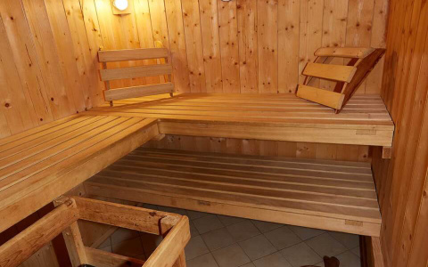 Gemütliche Holzsauna in der Almhütte Wagrain für entspannte Ferien im Salzburger Land